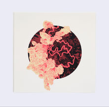 Load image into Gallery viewer, Simpoiesis III 2025-26