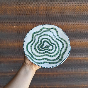 Green Snake Ceramic Plate