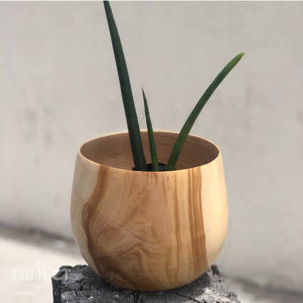 UME POT